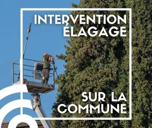 Lire la suite de l'actualité 🌳⚡ Travaux d&rsquo;élagage et d&rsquo;abattage sur la commune d&rsquo;Andeville — RTE
