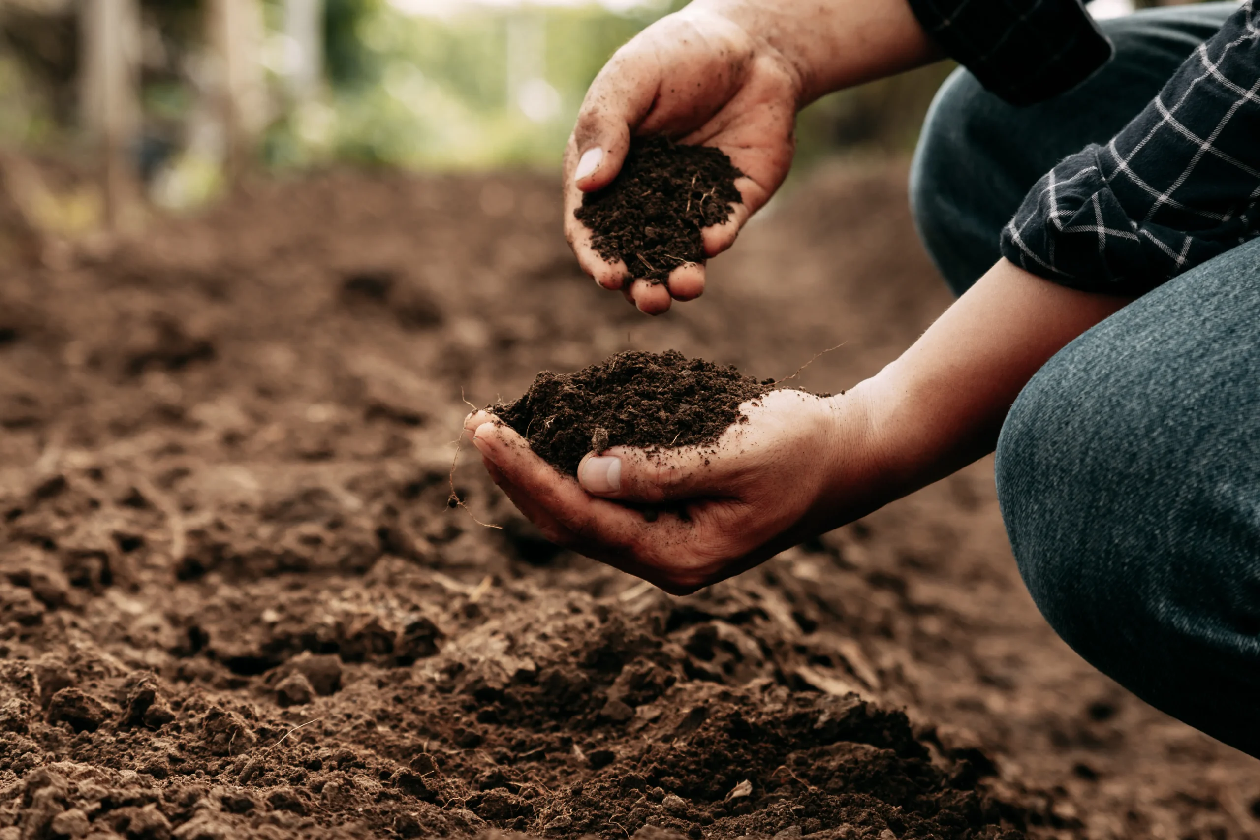 Lire la suite de l'actualité Distribution gratuite de compost – Édition 2026